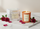 Fyosa World Journey – Premium 12 Candle Box (Complete Collection)